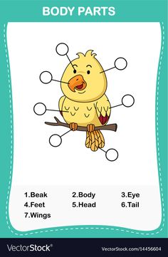 a cartoon bird sitting on a branch with body parts