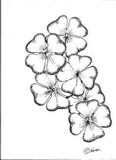 four leaf clovers are shown in this black and white drawing, with the word shamrock on