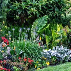 the garden is full of colorful flowers and plants