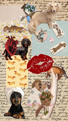 a collage with dogs, hearts, flowers and lipstick on it's side