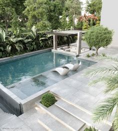 an outdoor swimming pool surrounded by greenery