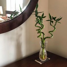 a vase filled with green plants on top of a wooden table next to a mirror