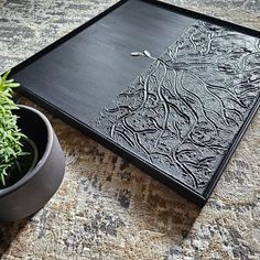 a black tray sitting on top of a rug next to a potted plant