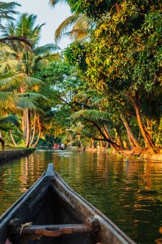 a boat traveling down a river surrounded by lush green trees and palm tree's