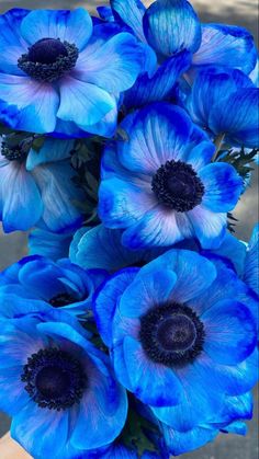 blue flowers are in a vase on the table