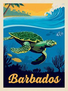 a poster with a turtle swimming in the ocean