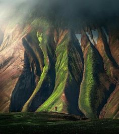 a man standing on top of a lush green mountain