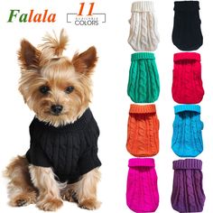 the small dog is wearing a black sweater and multicolored mittens for winter