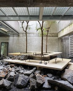 an empty room with rocks and trees in the center, surrounded by concrete walls on either side