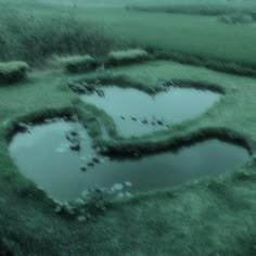 a heart shaped pond in the middle of a green field