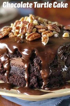 a chocolate turtle cake on a plate with pecans in the middle and text overlay that reads, chocolate turtle cake