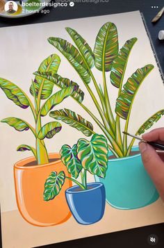 someone is drawing some plants in their pots