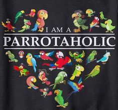 i am a parrotaholic t - shirt in black with colorful birds on it