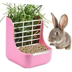 a small rabbit sitting next to a pink litter box with grass in it's mouth