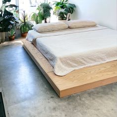 a bed with two pillows on top of it in a room filled with potted plants