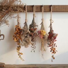 dried flowers hanging from hooks on a wall