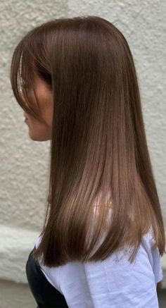 brunette hair, brown hair colors, medium brown hair, chocolate brown hair color Brown Hair Looks, Brown Hair Inspo, Dark Brown Hair Color, Haircuts Straight Hair, Long Hair With Bangs, Haircuts For Long Hair, Hair Inspo Color, Light Brown Hair, Brown Hair Colors