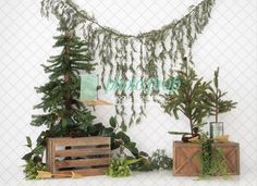 two wooden crates with plants and greenery on them in front of a white wall