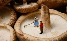 miniature figurines are placed on mushrooms for display