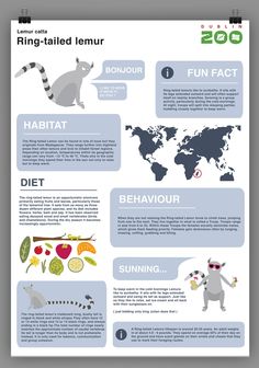 an info sheet with different types of animals