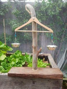 an outdoor scale is shown with plants in the background and text that reads, outdoor scales baxter kinder garden & children's centre