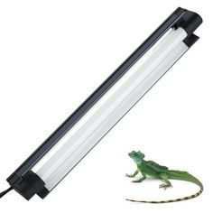 a lizard is laying on the ground next to a light fixture with an attached cord