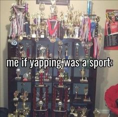 there are many trophies on display in the room with words that say, me if yapping was a sport