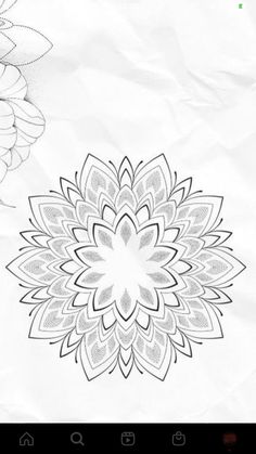 an image of a flower on a piece of paper with the background drawn in black and white