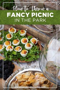 how to throw a fancy picnic in the park with food and drinks for two people