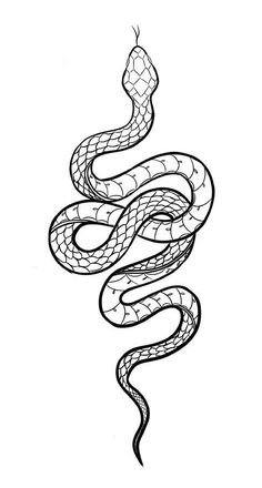 a black and white drawing of a snake