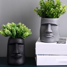 two vases with plants in them sitting on top of each other next to books