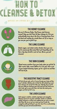 Lung Cleanse, Detox Juice Cleanse, Healthy Life Hacks, Kidney Cleanse, Liver Detoxification, Detox Tips, Simple Health