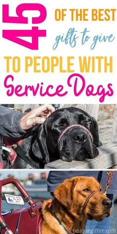 two dogs with their owners and the words, best gifts to give to people with service dogs