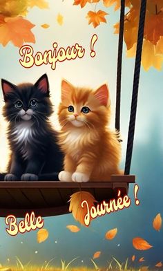 two cats are sitting on a swing with autumn leaves in the background and caption bonjou