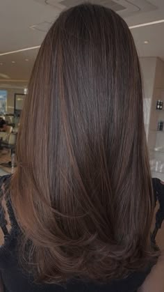 Brown Straight Hair, Brown Hair Looks, Hairstyles For Layered Hair, Haircuts Straight Hair, Haircuts For Long Hair, Hair Inspo Color