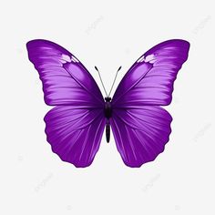 purple butterfly cute purple butterfly violet png Butterflies Images, Butterfly Png, Purple Butterfly Toppers Printable, Printable Purple Butterflies, Purple Background Butterfly, Purple Background With Butterflies