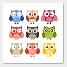 six owls with different colors and sizes