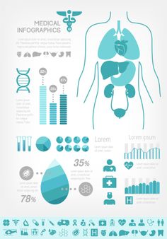 the anatomy of the human body with medical infos and symbols in blue, gray and white