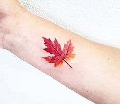 a red and yellow leaf tattoo on the arm