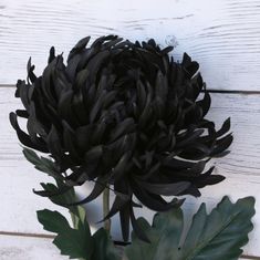 a large black flower sitting on top of a white wooden table next to green leaves