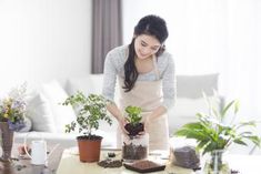 a woman in an apron is tending to plants on a table with other potted plants