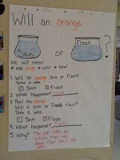 a white board with writing on it that says will an orange float?