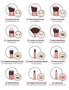 Teknik Makeup, Makeup Brush Uses, How To Use Makeup, Membentuk Alis, Makeup Order, Makeup Brushes Guide, Natural Make Up Looks, Simple Makeup Tips, Makeup Face Charts