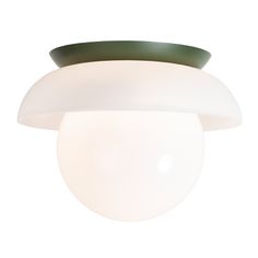 an image of a ceiling light that is white and green