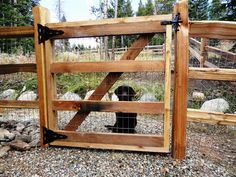 the dog is looking through the gate at the rocks in the field behind it,