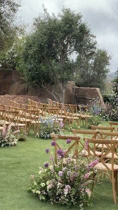 rows of wooden chairs sitting on top of a grass covered field next to trees and flowers