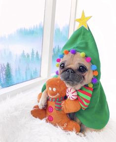 a small pug dog dressed up as a christmas tree and holding a teddy bear