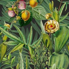 a painting of tropical plants and flowers on a black background with yellow, pink, green leaves