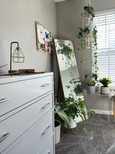 a room that has some plants on the wall and a large mirror in front of it