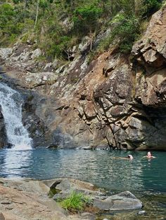 Cedar creek falls, waterfalls, freshwater creek, Mt Tamborine, creek Gold Coast, Gold Coast water falls Creek Swimming, Cedar Creek Falls, Waterfall Swimming, Mt Tamborine, Silly Words, Dream Summer, Cedar Creek